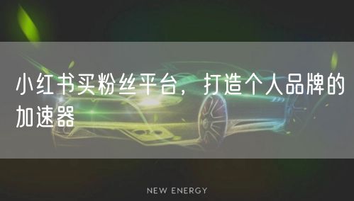 小红书买粉丝平台，打造个人品牌的加速器
