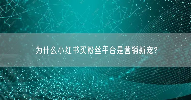 为什么小红书买粉丝平台是营销新宠？