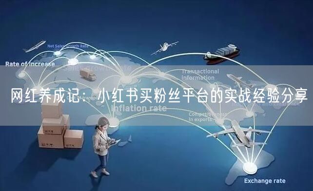 网红养成记：小红书买粉丝平台的实战经验分享