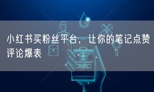 小红书买粉丝平台，让你的笔记点赞评论爆表