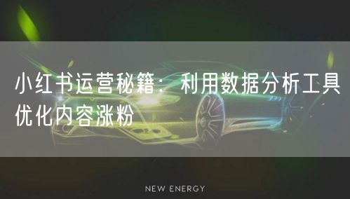 小红书运营秘籍：利用数据分析工具优化内容涨粉