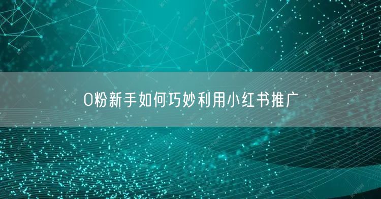 0粉新手如何巧妙利用小红书推广