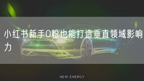 小红书新手0粉也能打造垂直领域影响力