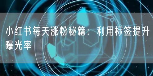小红书每天涨粉秘籍：利用标签提升曝光率