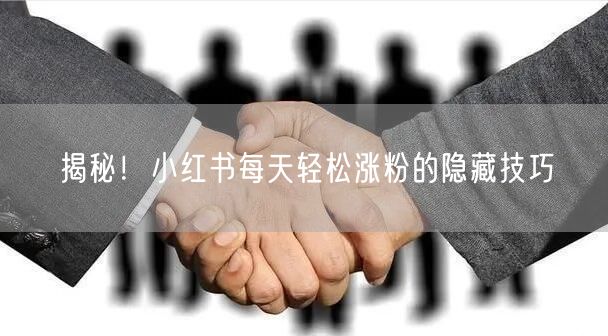 揭秘！小红书每天轻松涨粉的隐藏技巧