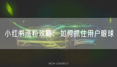 小红书涨粉攻略：如何抓住用户眼球