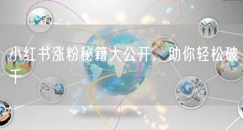 小红书涨粉秘籍大公开，助你轻松破千