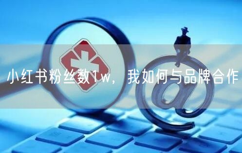 小红书粉丝数1w，我如何与品牌合作