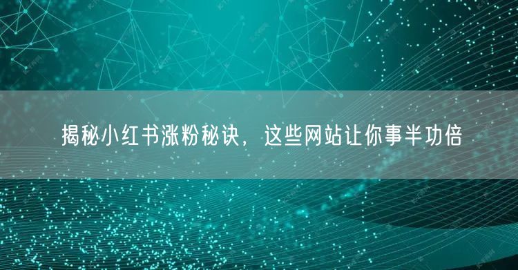 揭秘小红书涨粉秘诀，这些网站让你事半功倍
