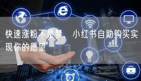 快速涨粉不是梦，小红书自助购买实现你的愿望