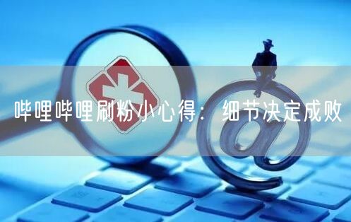 哔哩哔哩刷粉小心得：细节决定成败