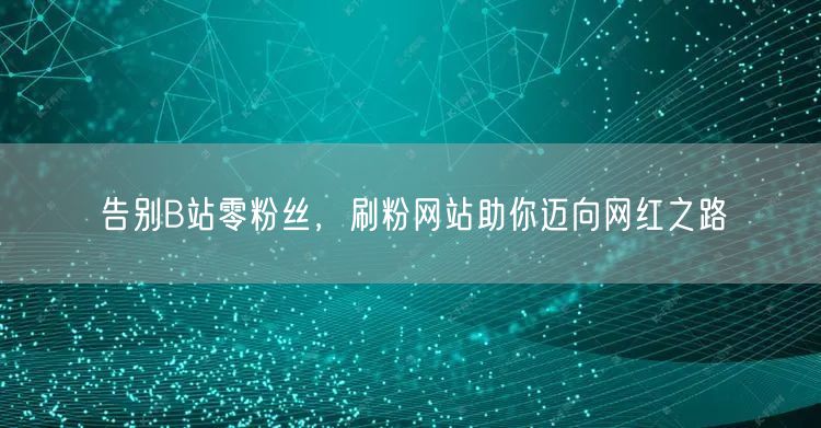 告别B站零粉丝，刷粉网站助你迈向网红之路