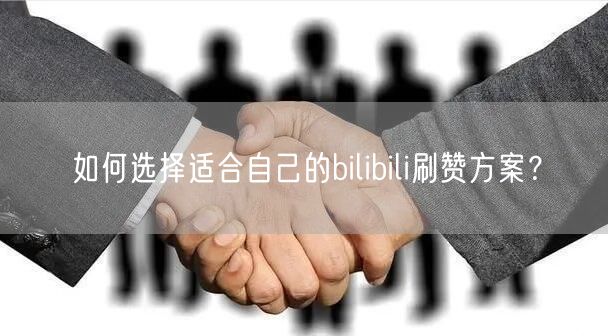 如何选择适合自己的bilibili刷赞方案？