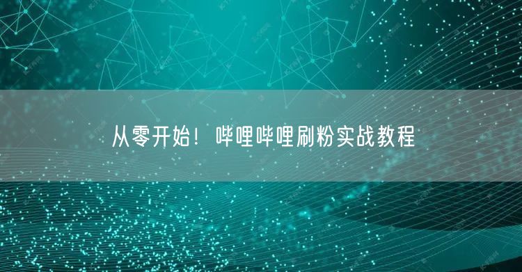 从零开始！哔哩哔哩刷粉实战教程