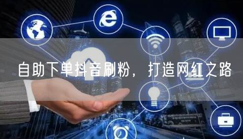 自助下单抖音刷粉，打造网红之路