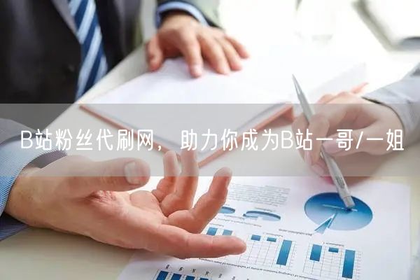 B站粉丝代刷网，助力你成为B站一哥/一姐