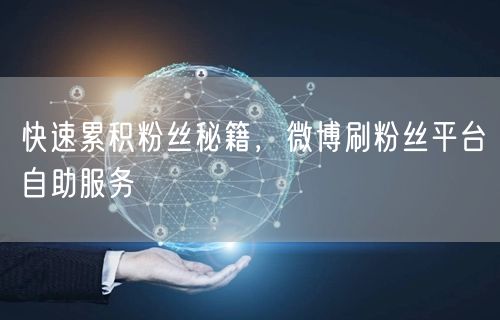 快速累积粉丝秘籍，微博刷粉丝平台自助服务