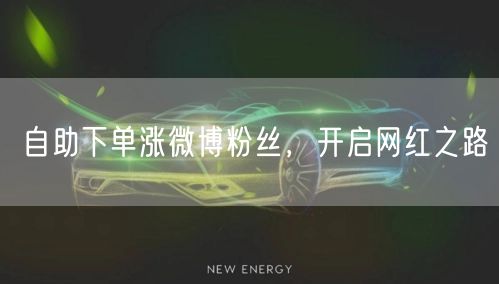 自助下单涨微博粉丝，开启网红之路