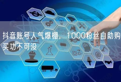 抖音账号人气爆棚，1000粉丝自助购买功不可没