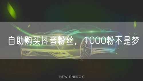 自助购买抖音粉丝，1000粉不是梦