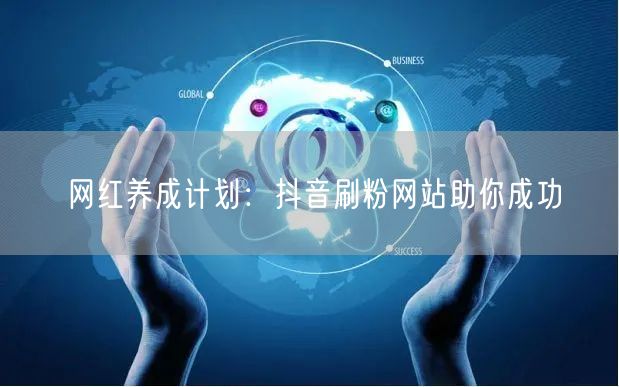 网红养成计划：抖音刷粉网站助你成功