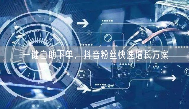 一键自助下单，抖音粉丝快速增长方案
