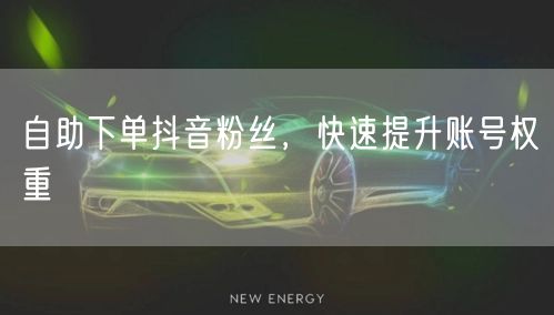 自助下单抖音粉丝，快速提升账号权重