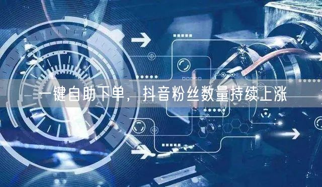 一键自助下单，抖音粉丝数量持续上涨