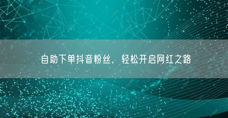 自助下单抖音粉丝，轻松开启网红之路