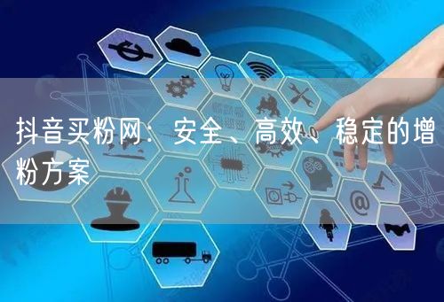 抖音买粉网：安全、高效、稳定的增粉方案