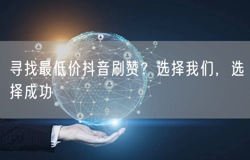 寻找最低价抖音刷赞？选择我们，选择成功