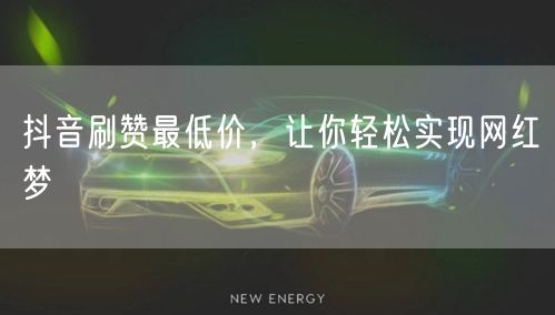 抖音刷赞最低价，让你轻松实现网红梦