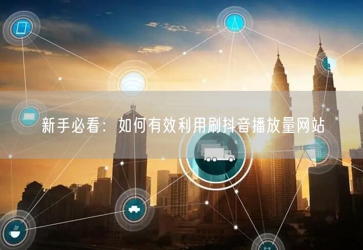 新手必看：如何有效利用刷抖音播放量网站