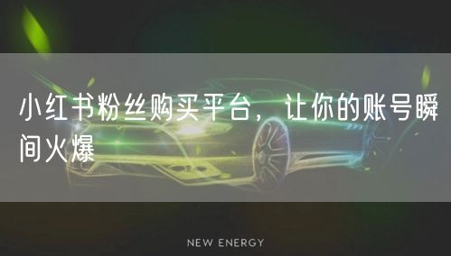 小红书粉丝购买平台，让你的账号瞬间火爆