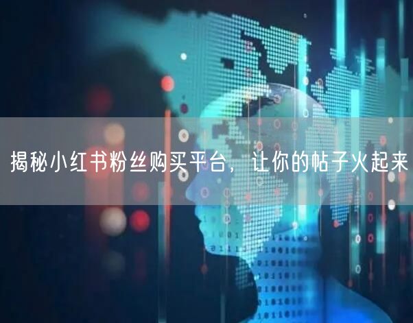 揭秘小红书粉丝购买平台，让你的帖子火起来