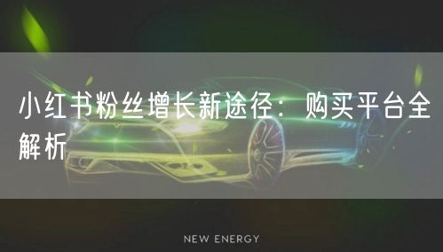 小红书粉丝增长新途径：购买平台全解析