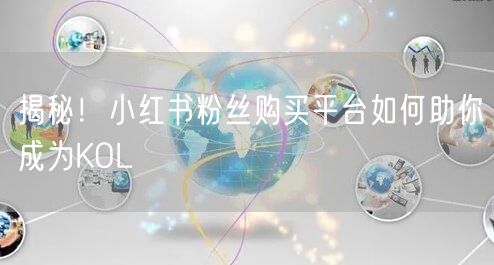 揭秘！小红书粉丝购买平台如何助你成为KOL