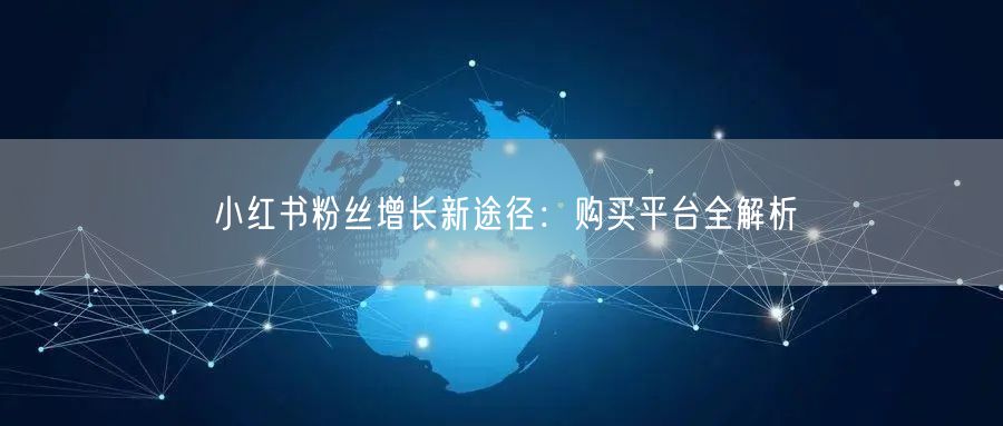 小红书粉丝增长新途径：购买平台全解析