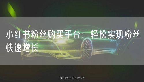 小红书粉丝购买平台：轻松实现粉丝快速增长