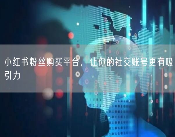 小红书粉丝购买平台，让你的社交账号更有吸引力