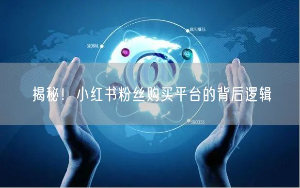 揭秘！小红书粉丝购买平台的背后逻辑