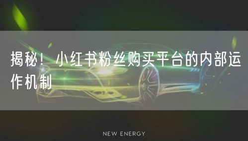 揭秘！小红书粉丝购买平台的内部运作机制