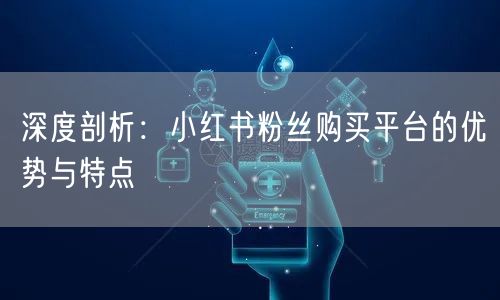 深度剖析：小红书粉丝购买平台的优势与特点