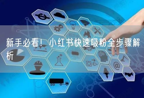 新手必看！小红书快速吸粉全步骤解析