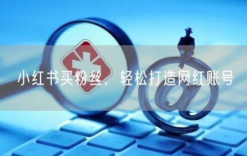 小红书买粉丝，轻松打造网红账号