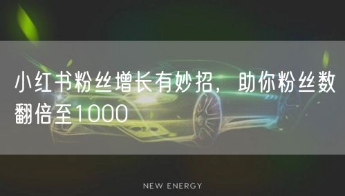 小红书粉丝增长有妙招，助你粉丝数翻倍至1000