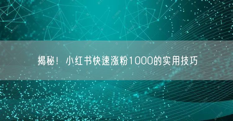揭秘！小红书快速涨粉1000的实用技巧