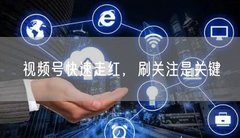 视频号快速走红，刷关注是关键