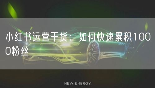 小红书运营干货：如何快速累积1000粉丝