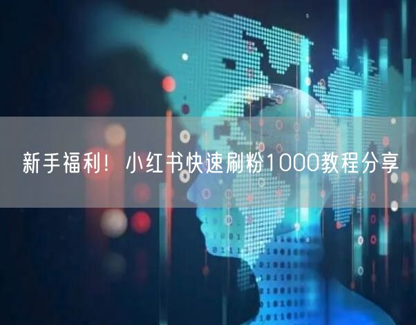 新手福利！小红书快速刷粉1000教程分享